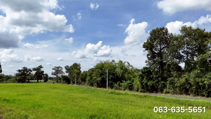 ประกาศฟรี! ซื้อ-ขาย-เช่า คอนโด บ้าน ทาวน์โฮม ที่ดิน และพื้นที่เชิงพาณิชย์ทั่วประเทศไทย ทุกทำเล ทุกงบประมาณ ไม่มีค่าใช้จ่าย ลงง่าย ขายไว เข้าถึงผู้ซื้อโดยตรง 5 515102pic4.jpg