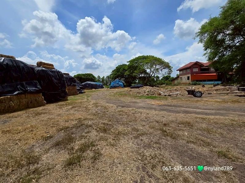 ประกาศฟรี! ซื้อ-ขาย-เช่า คอนโด บ้าน ทาวน์โฮม ที่ดิน และพื้นที่เชิงพาณิชย์ทั่วประเทศไทย ทุกทำเล ทุกงบประมาณ ไม่มีค่าใช้จ่าย ลงง่าย ขายไว เข้าถึงผู้ซื้อโดยตรง 4 515087pic3.jpg