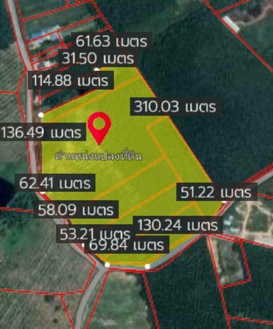 ประกาศฟรี! ซื้อ-ขาย-เช่า คอนโด บ้าน ทาวน์โฮม ที่ดิน และพื้นที่เชิงพาณิชย์ทั่วประเทศไทย ทุกทำเล ทุกงบประมาณ ไม่มีค่าใช้จ่าย ลงง่าย ขายไว เข้าถึงผู้ซื้อโดยตรง 2 253967pic1.jpg