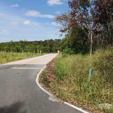 ประกาศฟรี! ซื้อ-ขาย-เช่า คอนโด บ้าน ทาวน์โฮม ที่ดิน และพื้นที่เชิงพาณิชย์ทั่วประเทศไทย ทุกทำเล ทุกงบประมาณ ไม่มีค่าใช้จ่าย ลงง่าย ขายไว เข้าถึงผู้ซื้อโดยตรง 5 253967pic4.jpg