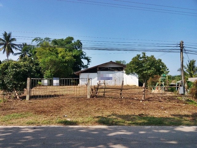 ประกาศฟรี! ซื้อ-ขาย-เช่า คอนโด บ้าน ทาวน์โฮม ที่ดิน และพื้นที่เชิงพาณิชย์ทั่วประเทศไทย ทุกทำเล ทุกงบประมาณ ไม่มีค่าใช้จ่าย ลงง่าย ขายไว เข้าถึงผู้ซื้อโดยตรง 2 253166pic1.jpg