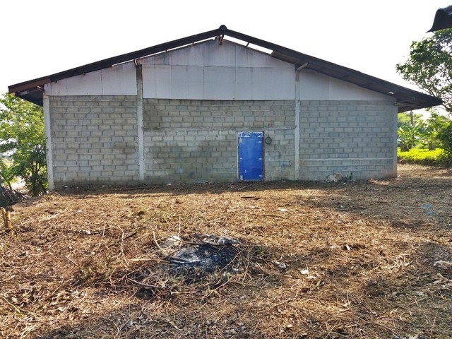 ประกาศฟรี! ซื้อ-ขาย-เช่า คอนโด บ้าน ทาวน์โฮม ที่ดิน และพื้นที่เชิงพาณิชย์ทั่วประเทศไทย ทุกทำเล ทุกงบประมาณ ไม่มีค่าใช้จ่าย ลงง่าย ขายไว เข้าถึงผู้ซื้อโดยตรง 3 253166pic2.jpg