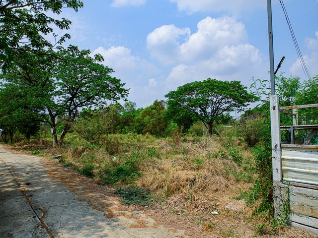 ประกาศฟรี! ซื้อ-ขาย-เช่า คอนโด บ้าน ทาวน์โฮม ที่ดิน และพื้นที่เชิงพาณิชย์ทั่วประเทศไทย ทุกทำเล ทุกงบประมาณ ไม่มีค่าใช้จ่าย ลงง่าย ขายไว เข้าถึงผู้ซื้อโดยตรง 3 515065pic2.jpg