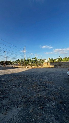 ประกาศฟรี! ซื้อ-ขาย-เช่า คอนโด บ้าน ทาวน์โฮม ที่ดิน และพื้นที่เชิงพาณิชย์ทั่วประเทศไทย ทุกทำเล ทุกงบประมาณ ไม่มีค่าใช้จ่าย ลงง่าย ขายไว เข้าถึงผู้ซื้อโดยตรง 3 315701pic2.jpg