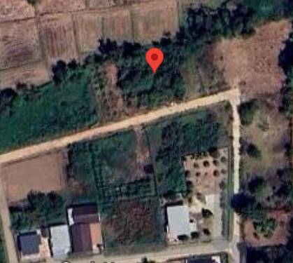 ประกาศฟรี! ซื้อ-ขาย-เช่า คอนโด บ้าน ทาวน์โฮม ที่ดิน และพื้นที่เชิงพาณิชย์ทั่วประเทศไทย ทุกทำเล ทุกงบประมาณ ไม่มีค่าใช้จ่าย ลงง่าย ขายไว เข้าถึงผู้ซื้อโดยตรง 2 315698pic1.jpg