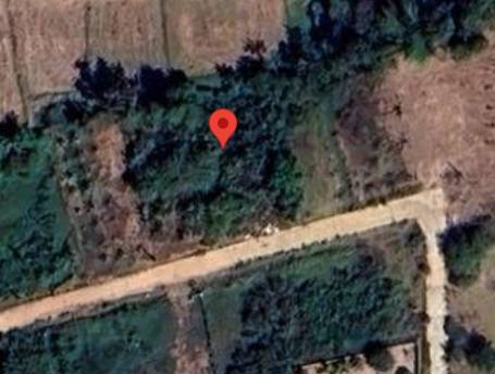 ประกาศฟรี! ซื้อ-ขาย-เช่า คอนโด บ้าน ทาวน์โฮม ที่ดิน และพื้นที่เชิงพาณิชย์ทั่วประเทศไทย ทุกทำเล ทุกงบประมาณ ไม่มีค่าใช้จ่าย ลงง่าย ขายไว เข้าถึงผู้ซื้อโดยตรง 3 315698pic2.jpg