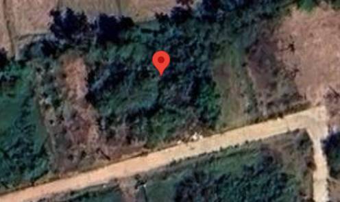 ประกาศฟรี! ซื้อ-ขาย-เช่า คอนโด บ้าน ทาวน์โฮม ที่ดิน และพื้นที่เชิงพาณิชย์ทั่วประเทศไทย ทุกทำเล ทุกงบประมาณ ไม่มีค่าใช้จ่าย ลงง่าย ขายไว เข้าถึงผู้ซื้อโดยตรง 5 315698pic4.jpg