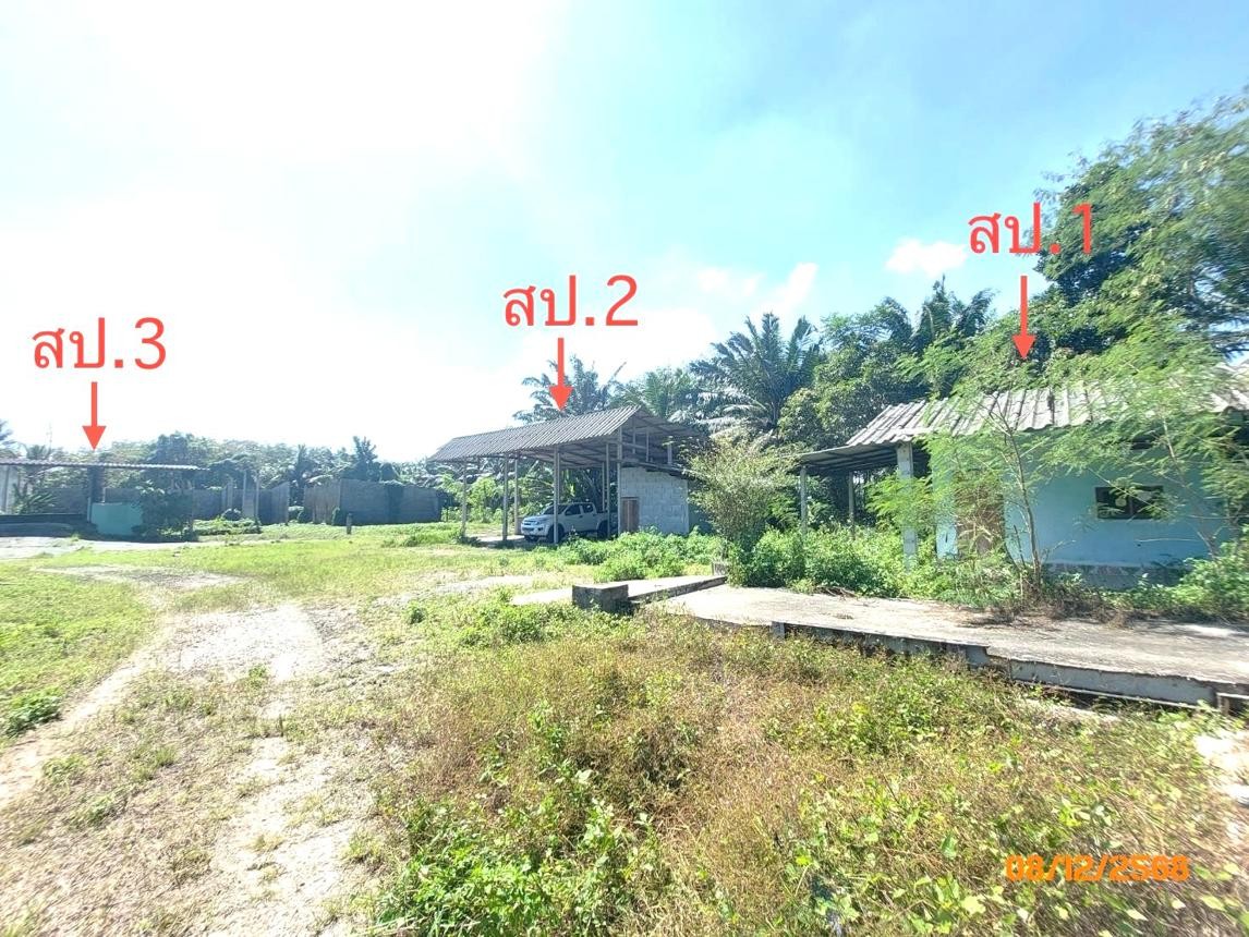 ประกาศฟรี! ซื้อ-ขาย-เช่า คอนโด บ้าน ทาวน์โฮม ที่ดิน และพื้นที่เชิงพาณิชย์ทั่วประเทศไทย ทุกทำเล ทุกงบประมาณ ไม่มีค่าใช้จ่าย ลงง่าย ขายไว เข้าถึงผู้ซื้อโดยตรง 2 253993pic1.jpg