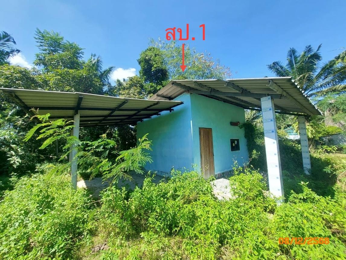 ประกาศฟรี! ซื้อ-ขาย-เช่า คอนโด บ้าน ทาวน์โฮม ที่ดิน และพื้นที่เชิงพาณิชย์ทั่วประเทศไทย ทุกทำเล ทุกงบประมาณ ไม่มีค่าใช้จ่าย ลงง่าย ขายไว เข้าถึงผู้ซื้อโดยตรง 3 253993pic2.jpg