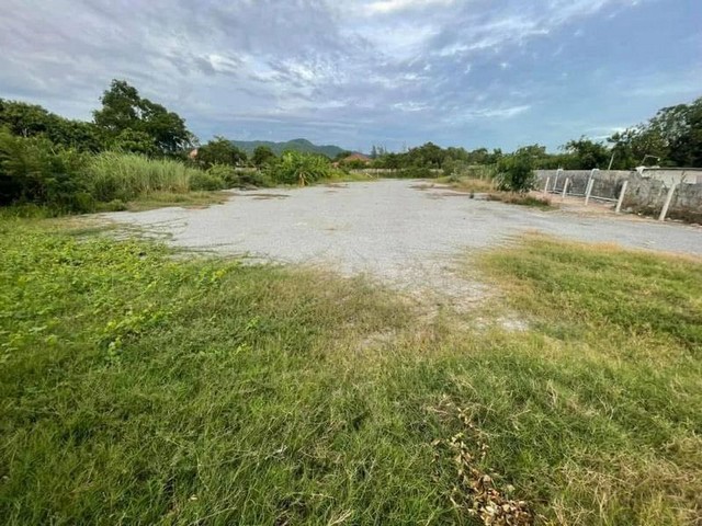 ประกาศฟรี! ซื้อ-ขาย-เช่า คอนโด บ้าน ทาวน์โฮม ที่ดิน และพื้นที่เชิงพาณิชย์ทั่วประเทศไทย ทุกทำเล ทุกงบประมาณ ไม่มีค่าใช้จ่าย ลงง่าย ขายไว เข้าถึงผู้ซื้อโดยตรง 2 297046pic1.jpg