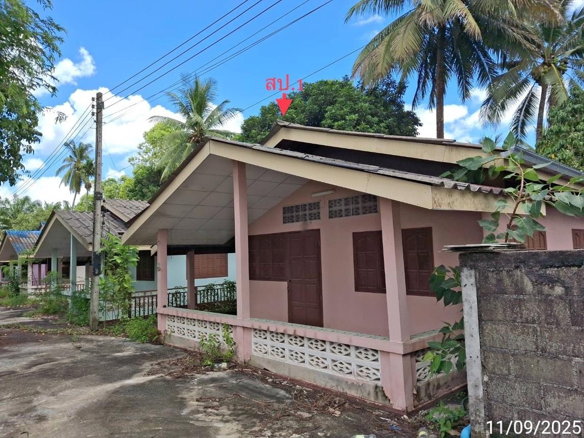 ประกาศฟรี! ซื้อ-ขาย-เช่า คอนโด บ้าน ทาวน์โฮม ที่ดิน และพื้นที่เชิงพาณิชย์ทั่วประเทศไทย ทุกทำเล ทุกงบประมาณ ไม่มีค่าใช้จ่าย ลงง่าย ขายไว เข้าถึงผู้ซื้อโดยตรง 2 253991pic1.jpg