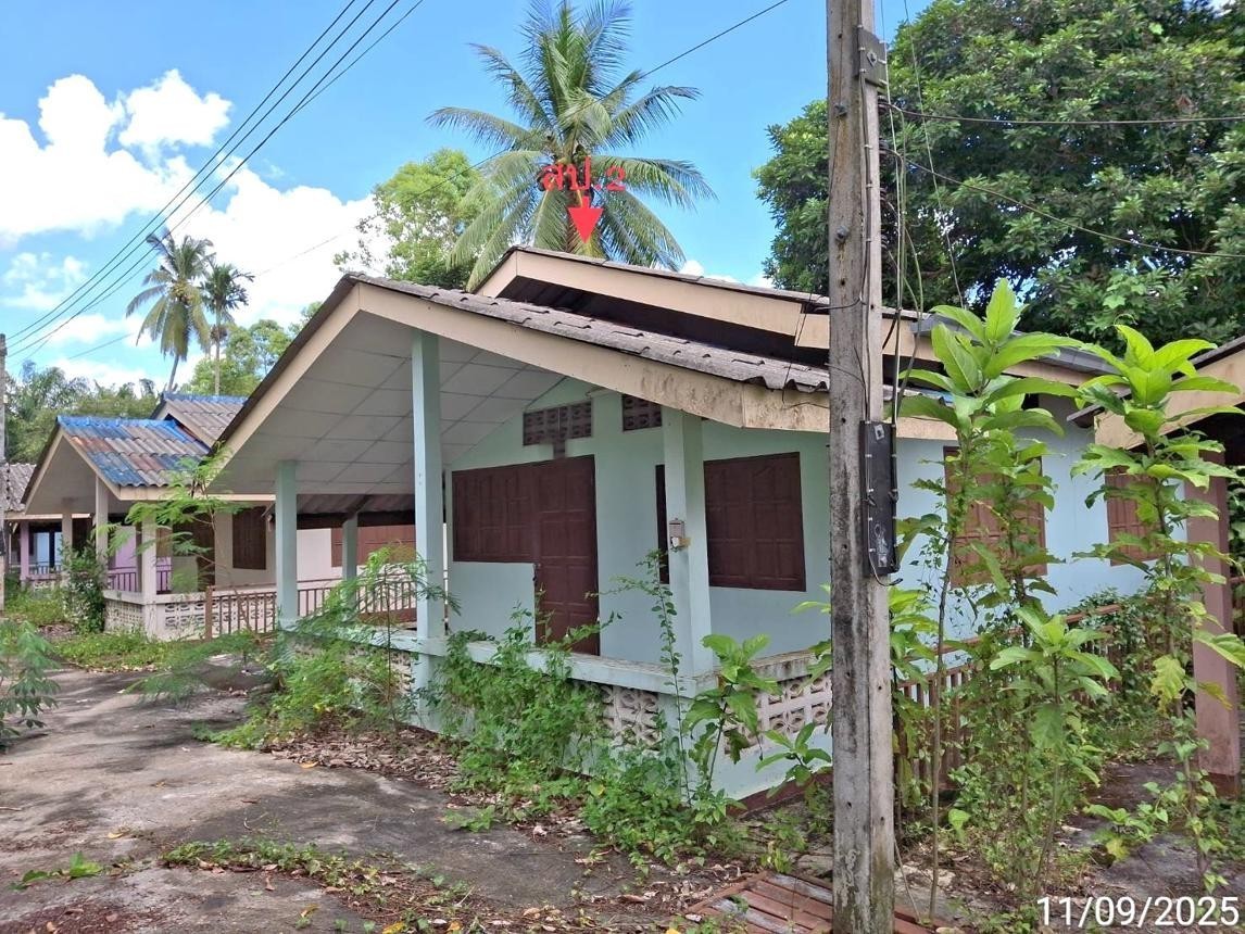 ประกาศฟรี! ซื้อ-ขาย-เช่า คอนโด บ้าน ทาวน์โฮม ที่ดิน และพื้นที่เชิงพาณิชย์ทั่วประเทศไทย ทุกทำเล ทุกงบประมาณ ไม่มีค่าใช้จ่าย ลงง่าย ขายไว เข้าถึงผู้ซื้อโดยตรง 3 253991pic2.jpg