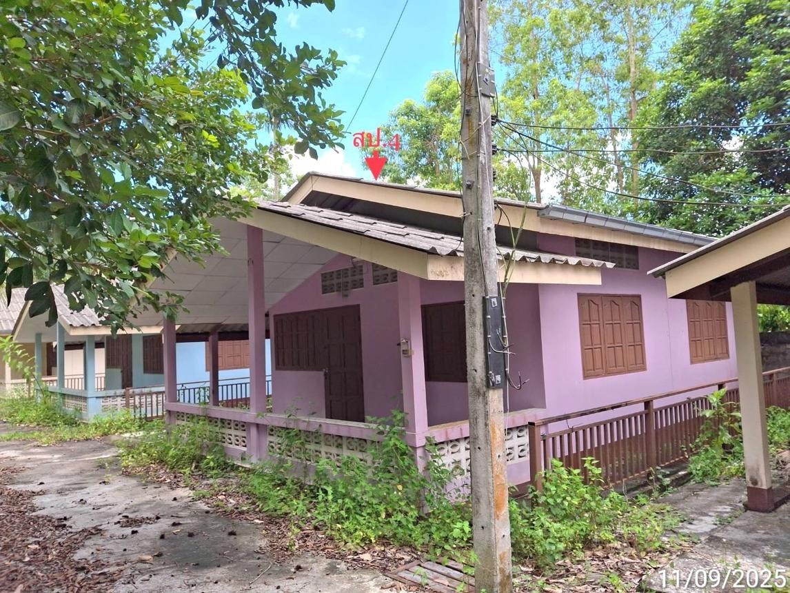 ประกาศฟรี! ซื้อ-ขาย-เช่า คอนโด บ้าน ทาวน์โฮม ที่ดิน และพื้นที่เชิงพาณิชย์ทั่วประเทศไทย ทุกทำเล ทุกงบประมาณ ไม่มีค่าใช้จ่าย ลงง่าย ขายไว เข้าถึงผู้ซื้อโดยตรง 5 253991pic4.jpg