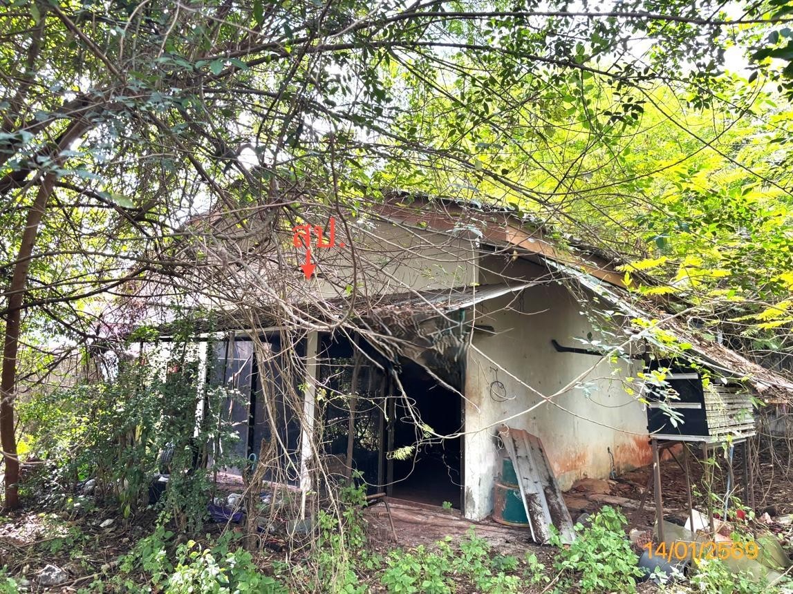 ประกาศฟรี! ซื้อ-ขาย-เช่า คอนโด บ้าน ทาวน์โฮม ที่ดิน และพื้นที่เชิงพาณิชย์ทั่วประเทศไทย ทุกทำเล ทุกงบประมาณ ไม่มีค่าใช้จ่าย ลงง่าย ขายไว เข้าถึงผู้ซื้อโดยตรง 2 253152pic1.jpg