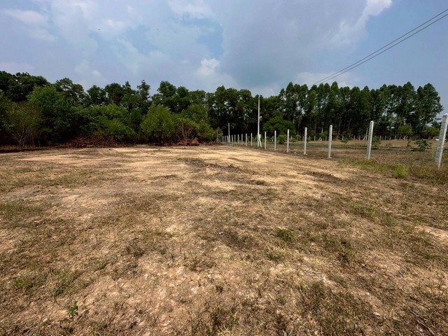 ประกาศฟรี! ซื้อ-ขาย-เช่า คอนโด บ้าน ทาวน์โฮม ที่ดิน และพื้นที่เชิงพาณิชย์ทั่วประเทศไทย ทุกทำเล ทุกงบประมาณ ไม่มีค่าใช้จ่าย ลงง่าย ขายไว เข้าถึงผู้ซื้อโดยตรง 5 315708pic4.jpg