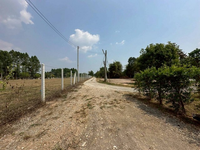 ประกาศฟรี! ซื้อ-ขาย-เช่า คอนโด บ้าน ทาวน์โฮม ที่ดิน และพื้นที่เชิงพาณิชย์ทั่วประเทศไทย ทุกทำเล ทุกงบประมาณ ไม่มีค่าใช้จ่าย ลงง่าย ขายไว เข้าถึงผู้ซื้อโดยตรง 2 315706pic1.jpg