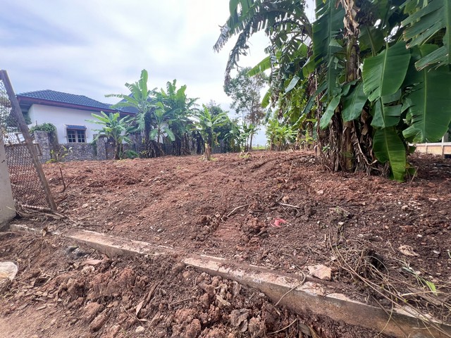 ประกาศฟรี! ซื้อ-ขาย-เช่า คอนโด บ้าน ทาวน์โฮม ที่ดิน และพื้นที่เชิงพาณิชย์ทั่วประเทศไทย ทุกทำเล ทุกงบประมาณ ไม่มีค่าใช้จ่าย ลงง่าย ขายไว เข้าถึงผู้ซื้อโดยตรง 4 294089pic3.jpg