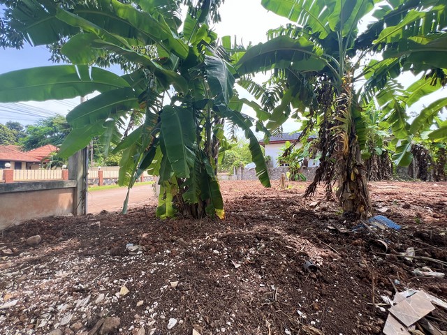 ประกาศฟรี! ซื้อ-ขาย-เช่า คอนโด บ้าน ทาวน์โฮม ที่ดิน และพื้นที่เชิงพาณิชย์ทั่วประเทศไทย ทุกทำเล ทุกงบประมาณ ไม่มีค่าใช้จ่าย ลงง่าย ขายไว เข้าถึงผู้ซื้อโดยตรง 5 294089pic4.jpg