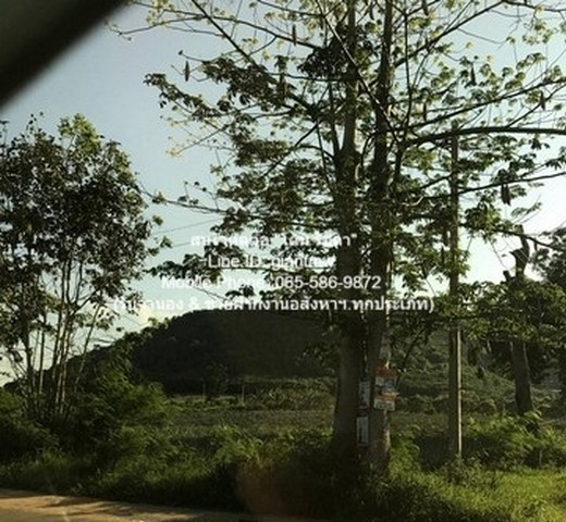 ประกาศฟรี! ซื้อ-ขาย-เช่า คอนโด บ้าน ทาวน์โฮม ที่ดิน และพื้นที่เชิงพาณิชย์ทั่วประเทศไทย ทุกทำเล ทุกงบประมาณ ไม่มีค่าใช้จ่าย ลงง่าย ขายไว เข้าถึงผู้ซื้อโดยตรง 4 21111pic3.jpg