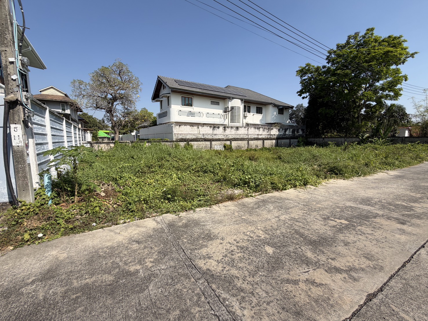 ประกาศฟรี! ซื้อ-ขาย-เช่า คอนโด บ้าน ทาวน์โฮม ที่ดิน และพื้นที่เชิงพาณิชย์ทั่วประเทศไทย ทุกทำเล ทุกงบประมาณ ไม่มีค่าใช้จ่าย ลงง่าย ขายไว เข้าถึงผู้ซื้อโดยตรง 2 315779pic1.jpg