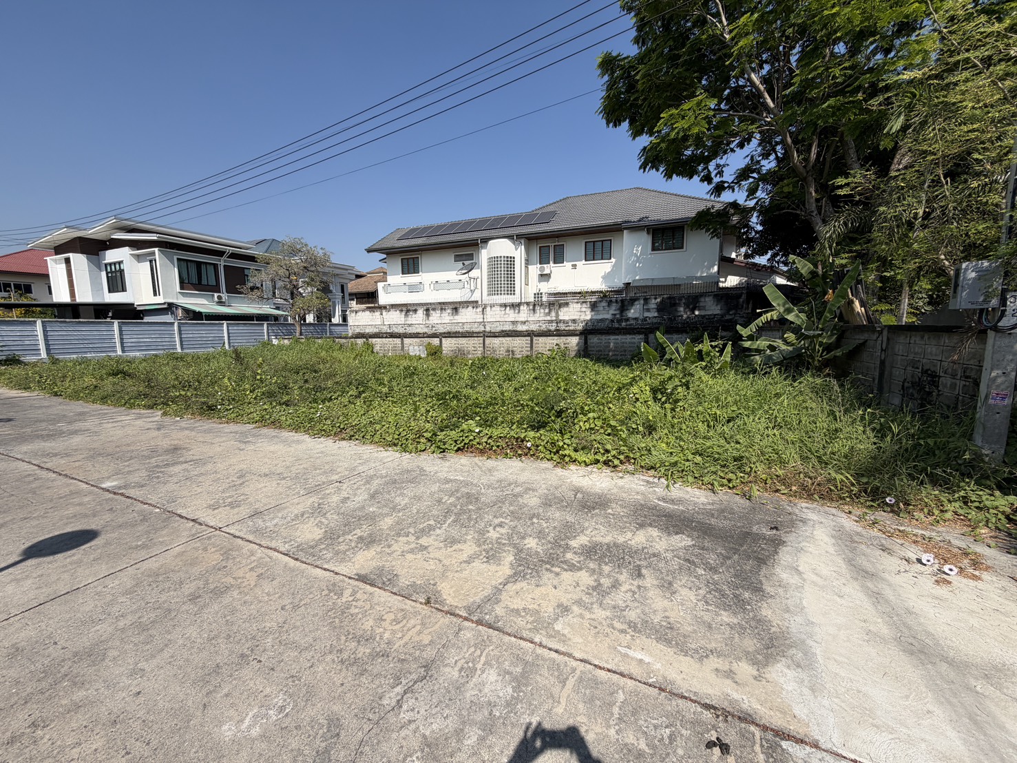 ประกาศฟรี! ซื้อ-ขาย-เช่า คอนโด บ้าน ทาวน์โฮม ที่ดิน และพื้นที่เชิงพาณิชย์ทั่วประเทศไทย ทุกทำเล ทุกงบประมาณ ไม่มีค่าใช้จ่าย ลงง่าย ขายไว เข้าถึงผู้ซื้อโดยตรง 3 315779pic2.jpg