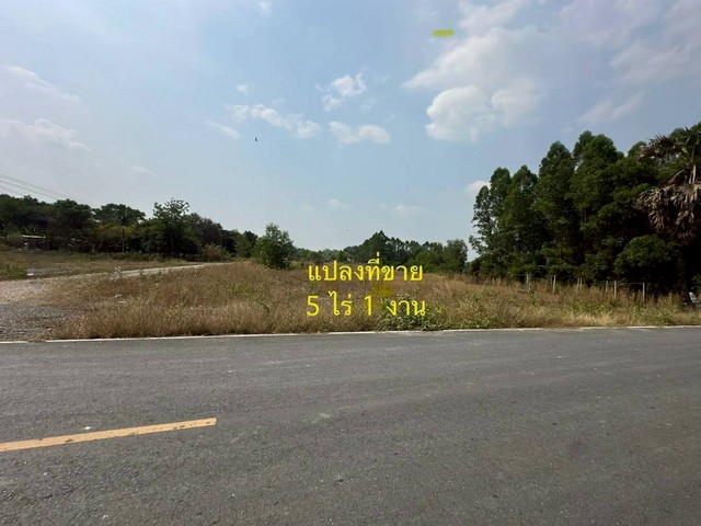 ประกาศฟรี! ซื้อ-ขาย-เช่า คอนโด บ้าน ทาวน์โฮม ที่ดิน และพื้นที่เชิงพาณิชย์ทั่วประเทศไทย ทุกทำเล ทุกงบประมาณ ไม่มีค่าใช้จ่าย ลงง่าย ขายไว เข้าถึงผู้ซื้อโดยตรง 2 254179pic1.jpg