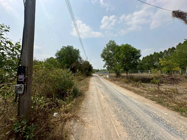 ประกาศฟรี! ซื้อ-ขาย-เช่า คอนโด บ้าน ทาวน์โฮม ที่ดิน และพื้นที่เชิงพาณิชย์ทั่วประเทศไทย ทุกทำเล ทุกงบประมาณ ไม่มีค่าใช้จ่าย ลงง่าย ขายไว เข้าถึงผู้ซื้อโดยตรง 4 254179pic3.jpg