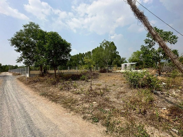 ประกาศฟรี! ซื้อ-ขาย-เช่า คอนโด บ้าน ทาวน์โฮม ที่ดิน และพื้นที่เชิงพาณิชย์ทั่วประเทศไทย ทุกทำเล ทุกงบประมาณ ไม่มีค่าใช้จ่าย ลงง่าย ขายไว เข้าถึงผู้ซื้อโดยตรง 5 254179pic4.jpg