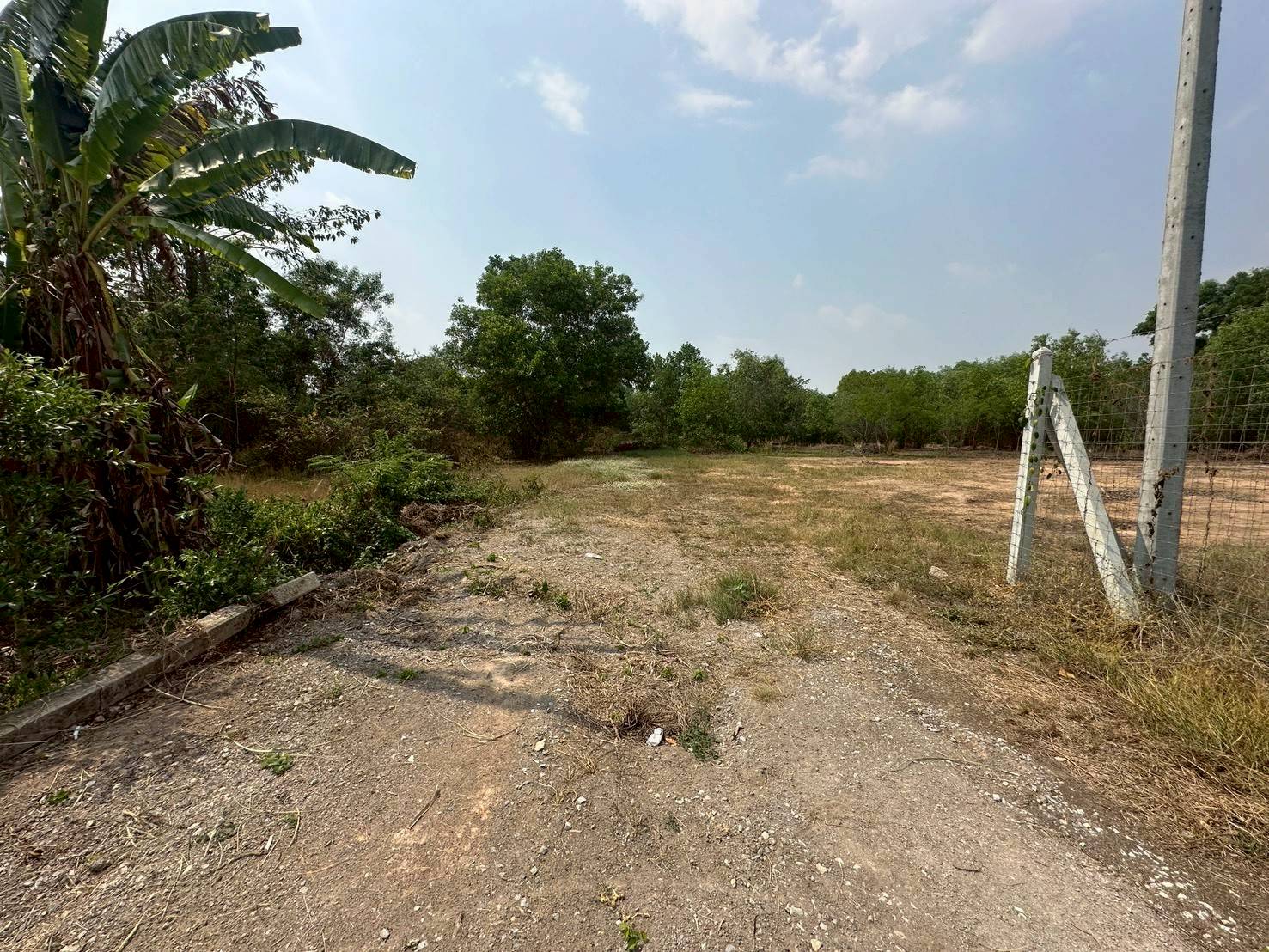 ประกาศฟรี! ซื้อ-ขาย-เช่า คอนโด บ้าน ทาวน์โฮม ที่ดิน และพื้นที่เชิงพาณิชย์ทั่วประเทศไทย ทุกทำเล ทุกงบประมาณ ไม่มีค่าใช้จ่าย ลงง่าย ขายไว เข้าถึงผู้ซื้อโดยตรง 3 254178pic2.jpg