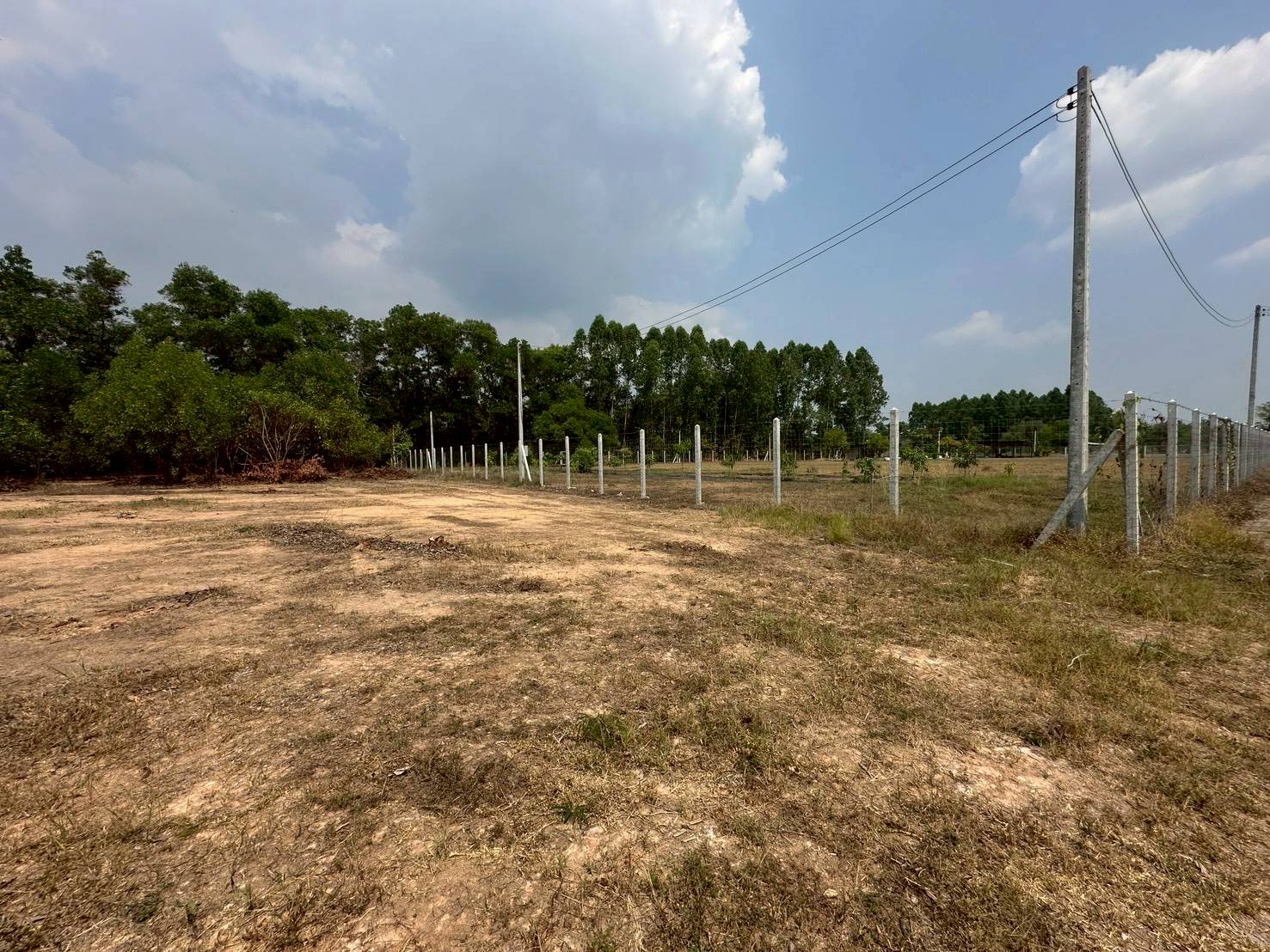 ประกาศฟรี! ซื้อ-ขาย-เช่า คอนโด บ้าน ทาวน์โฮม ที่ดิน และพื้นที่เชิงพาณิชย์ทั่วประเทศไทย ทุกทำเล ทุกงบประมาณ ไม่มีค่าใช้จ่าย ลงง่าย ขายไว เข้าถึงผู้ซื้อโดยตรง 4 254178pic3.jpg