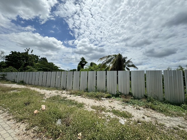 ประกาศฟรี! ซื้อ-ขาย-เช่า คอนโด บ้าน ทาวน์โฮม ที่ดิน และพื้นที่เชิงพาณิชย์ทั่วประเทศไทย ทุกทำเล ทุกงบประมาณ ไม่มีค่าใช้จ่าย ลงง่าย ขายไว เข้าถึงผู้ซื้อโดยตรง 4 315815pic3.jpg