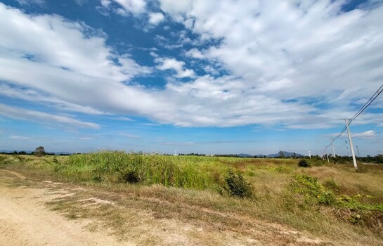 ประกาศฟรี! ซื้อ-ขาย-เช่า คอนโด บ้าน ทาวน์โฮม ที่ดิน และพื้นที่เชิงพาณิชย์ทั่วประเทศไทย ทุกทำเล ทุกงบประมาณ ไม่มีค่าใช้จ่าย ลงง่าย ขายไว เข้าถึงผู้ซื้อโดยตรง 5 16291pic4.jpg