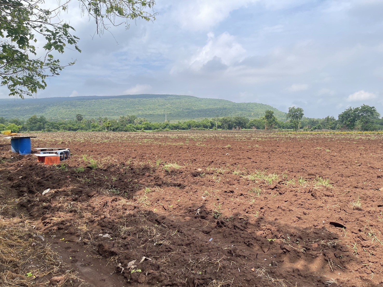 ประกาศฟรี! ซื้อ-ขาย-เช่า คอนโด บ้าน ทาวน์โฮม ที่ดิน และพื้นที่เชิงพาณิชย์ทั่วประเทศไทย ทุกทำเล ทุกงบประมาณ ไม่มีค่าใช้จ่าย ลงง่าย ขายไว เข้าถึงผู้ซื้อโดยตรง 2 315835pic1.jpg