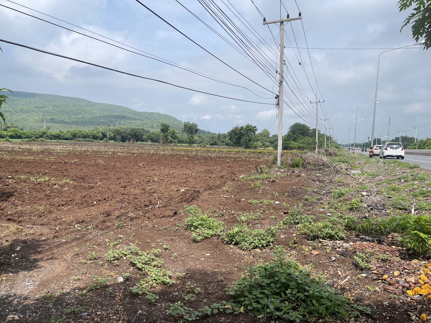 ประกาศฟรี! ซื้อ-ขาย-เช่า คอนโด บ้าน ทาวน์โฮม ที่ดิน และพื้นที่เชิงพาณิชย์ทั่วประเทศไทย ทุกทำเล ทุกงบประมาณ ไม่มีค่าใช้จ่าย ลงง่าย ขายไว เข้าถึงผู้ซื้อโดยตรง 3 315835pic2.jpg