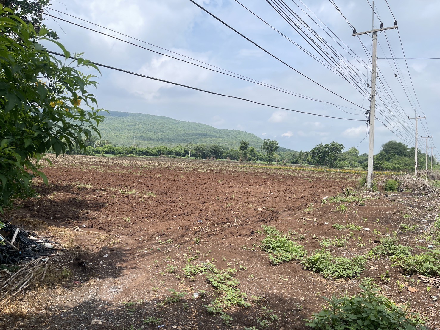 ประกาศฟรี! ซื้อ-ขาย-เช่า คอนโด บ้าน ทาวน์โฮม ที่ดิน และพื้นที่เชิงพาณิชย์ทั่วประเทศไทย ทุกทำเล ทุกงบประมาณ ไม่มีค่าใช้จ่าย ลงง่าย ขายไว เข้าถึงผู้ซื้อโดยตรง 4 315835pic3.jpg