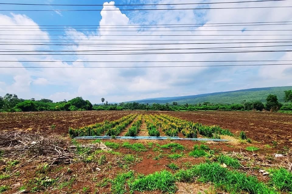 ประกาศฟรี! ซื้อ-ขาย-เช่า คอนโด บ้าน ทาวน์โฮม ที่ดิน และพื้นที่เชิงพาณิชย์ทั่วประเทศไทย ทุกทำเล ทุกงบประมาณ ไม่มีค่าใช้จ่าย ลงง่าย ขายไว เข้าถึงผู้ซื้อโดยตรง 5 315835pic4.jpg