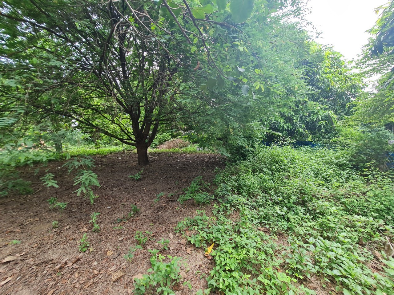 ประกาศฟรี! ซื้อ-ขาย-เช่า คอนโด บ้าน ทาวน์โฮม ที่ดิน และพื้นที่เชิงพาณิชย์ทั่วประเทศไทย ทุกทำเล ทุกงบประมาณ ไม่มีค่าใช้จ่าย ลงง่าย ขายไว เข้าถึงผู้ซื้อโดยตรง 3 16290pic2.jpg