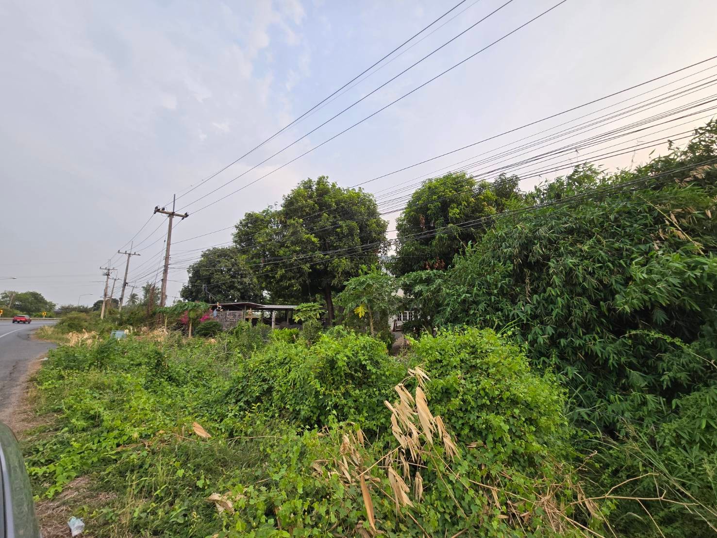 ประกาศฟรี! ซื้อ-ขาย-เช่า คอนโด บ้าน ทาวน์โฮม ที่ดิน และพื้นที่เชิงพาณิชย์ทั่วประเทศไทย ทุกทำเล ทุกงบประมาณ ไม่มีค่าใช้จ่าย ลงง่าย ขายไว เข้าถึงผู้ซื้อโดยตรง 5 16290pic4.jpg