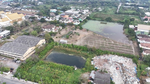 ประกาศฟรี! ซื้อ-ขาย-เช่า คอนโด บ้าน ทาวน์โฮม ที่ดิน และพื้นที่เชิงพาณิชย์ทั่วประเทศไทย ทุกทำเล ทุกงบประมาณ ไม่มีค่าใช้จ่าย ลงง่าย ขายไว เข้าถึงผู้ซื้อโดยตรง 5 254243pic4.jpg