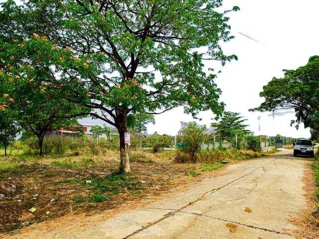 ประกาศฟรี! ซื้อ-ขาย-เช่า คอนโด บ้าน ทาวน์โฮม ที่ดิน และพื้นที่เชิงพาณิชย์ทั่วประเทศไทย ทุกทำเล ทุกงบประมาณ ไม่มีค่าใช้จ่าย ลงง่าย ขายไว เข้าถึงผู้ซื้อโดยตรง 2 515354pic1.jpg