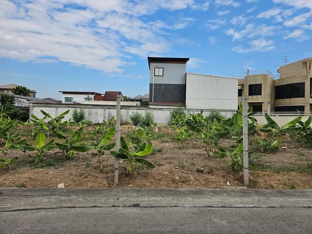 ประกาศฟรี! ซื้อ-ขาย-เช่า คอนโด บ้าน ทาวน์โฮม ที่ดิน และพื้นที่เชิงพาณิชย์ทั่วประเทศไทย ทุกทำเล ทุกงบประมาณ ไม่มีค่าใช้จ่าย ลงง่าย ขายไว เข้าถึงผู้ซื้อโดยตรง 2 508259pic1.jpg