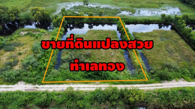 ประกาศฟรี! ซื้อ-ขาย-เช่า คอนโด บ้าน ทาวน์โฮม ที่ดิน และพื้นที่เชิงพาณิชย์ทั่วประเทศไทย ทุกทำเล ทุกงบประมาณ ไม่มีค่าใช้จ่าย ลงง่าย ขายไว เข้าถึงผู้ซื้อโดยตรง 2 315553pic1.jpg