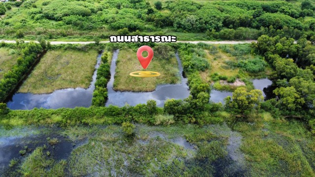 ประกาศฟรี! ซื้อ-ขาย-เช่า คอนโด บ้าน ทาวน์โฮม ที่ดิน และพื้นที่เชิงพาณิชย์ทั่วประเทศไทย ทุกทำเล ทุกงบประมาณ ไม่มีค่าใช้จ่าย ลงง่าย ขายไว เข้าถึงผู้ซื้อโดยตรง 5 315553pic4.jpg