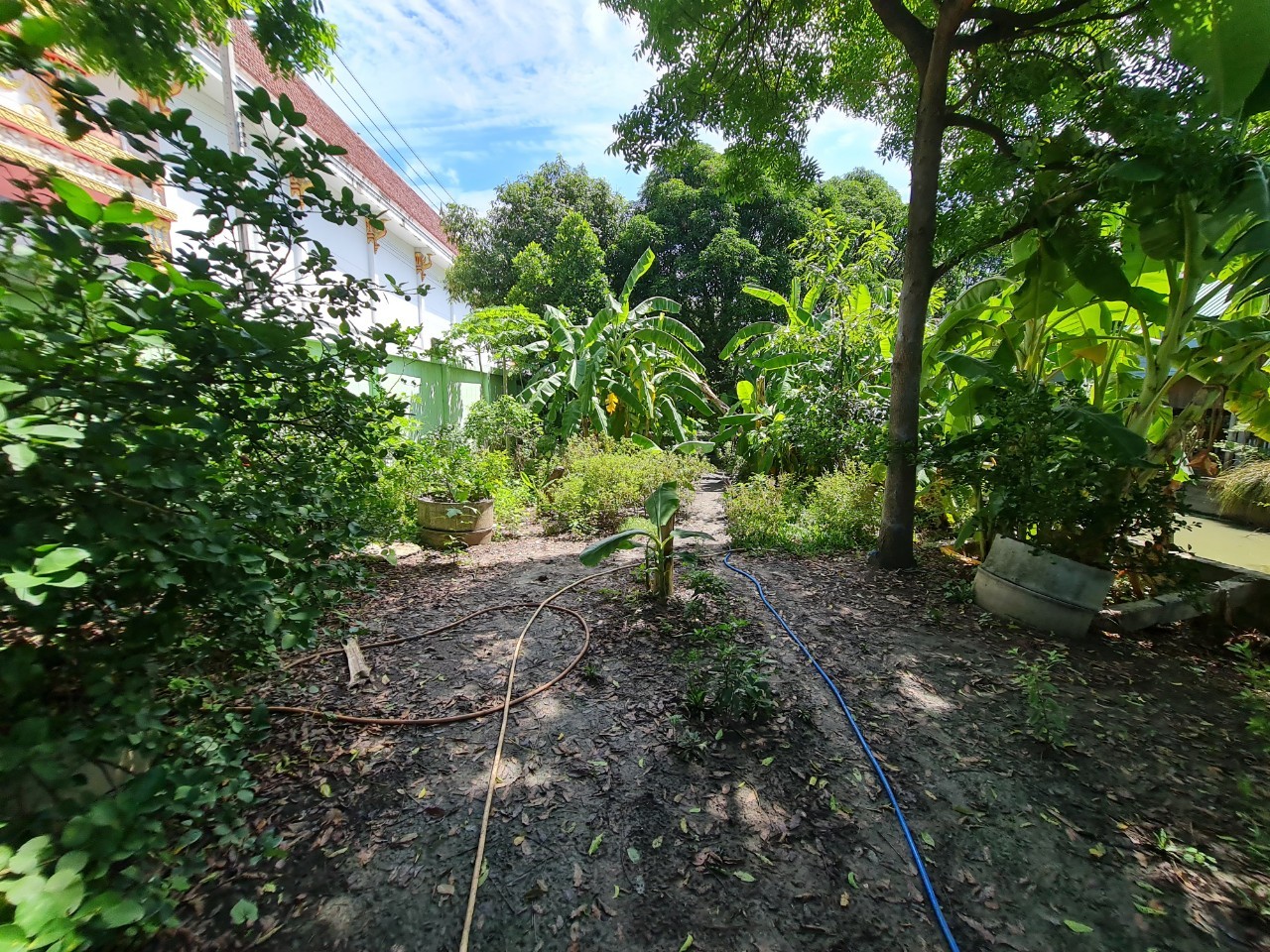 ประกาศฟรี! ซื้อ-ขาย-เช่า คอนโด บ้าน ทาวน์โฮม ที่ดิน และพื้นที่เชิงพาณิชย์ทั่วประเทศไทย ทุกทำเล ทุกงบประมาณ ไม่มีค่าใช้จ่าย ลงง่าย ขายไว เข้าถึงผู้ซื้อโดยตรง 3 16287pic2.jpg