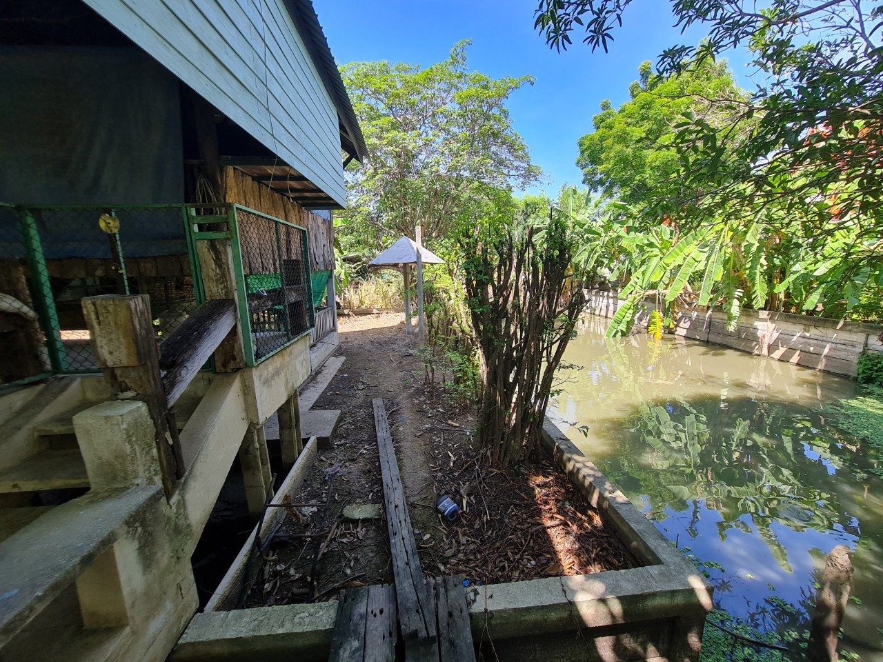 ประกาศฟรี! ซื้อ-ขาย-เช่า คอนโด บ้าน ทาวน์โฮม ที่ดิน และพื้นที่เชิงพาณิชย์ทั่วประเทศไทย ทุกทำเล ทุกงบประมาณ ไม่มีค่าใช้จ่าย ลงง่าย ขายไว เข้าถึงผู้ซื้อโดยตรง 5 16287pic4.jpg