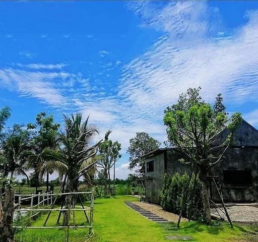 ประกาศฟรี! ซื้อ-ขาย-เช่า คอนโด บ้าน ทาวน์โฮม ที่ดิน และพื้นที่เชิงพาณิชย์ทั่วประเทศไทย ทุกทำเล ทุกงบประมาณ ไม่มีค่าใช้จ่าย ลงง่าย ขายไว เข้าถึงผู้ซื้อโดยตรง 2 254255pic1.jpg