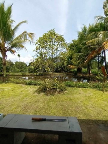 ประกาศฟรี! ซื้อ-ขาย-เช่า คอนโด บ้าน ทาวน์โฮม ที่ดิน และพื้นที่เชิงพาณิชย์ทั่วประเทศไทย ทุกทำเล ทุกงบประมาณ ไม่มีค่าใช้จ่าย ลงง่าย ขายไว เข้าถึงผู้ซื้อโดยตรง 3 254255pic2.jpg