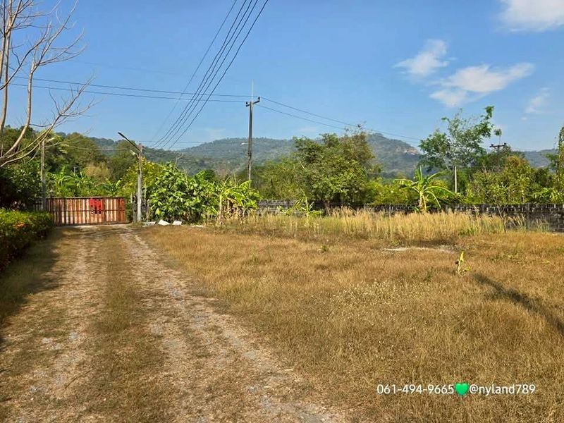 ประกาศฟรี! ซื้อ-ขาย-เช่า คอนโด บ้าน ทาวน์โฮม ที่ดิน และพื้นที่เชิงพาณิชย์ทั่วประเทศไทย ทุกทำเล ทุกงบประมาณ ไม่มีค่าใช้จ่าย ลงง่าย ขายไว เข้าถึงผู้ซื้อโดยตรง 2 515581pic1.jpg