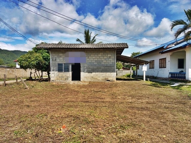 ประกาศฟรี! ซื้อ-ขาย-เช่า คอนโด บ้าน ทาวน์โฮม ที่ดิน และพื้นที่เชิงพาณิชย์ทั่วประเทศไทย ทุกทำเล ทุกงบประมาณ ไม่มีค่าใช้จ่าย ลงง่าย ขายไว เข้าถึงผู้ซื้อโดยตรง 2 253824pic1.jpg