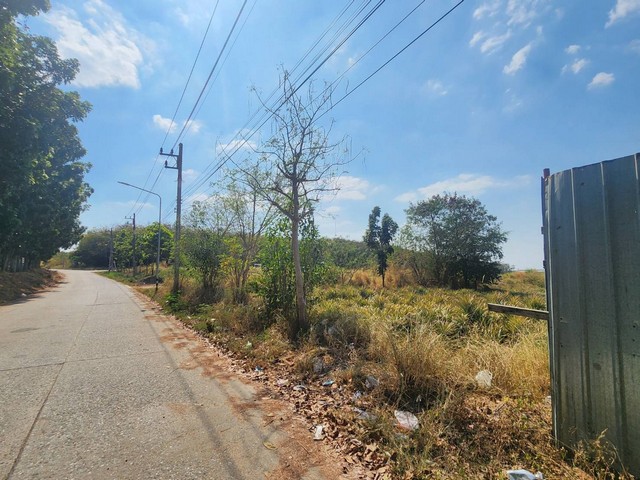 ประกาศฟรี! ซื้อ-ขาย-เช่า คอนโด บ้าน ทาวน์โฮม ที่ดิน และพื้นที่เชิงพาณิชย์ทั่วประเทศไทย ทุกทำเล ทุกงบประมาณ ไม่มีค่าใช้จ่าย ลงง่าย ขายไว เข้าถึงผู้ซื้อโดยตรง 2 315889pic1.jpg